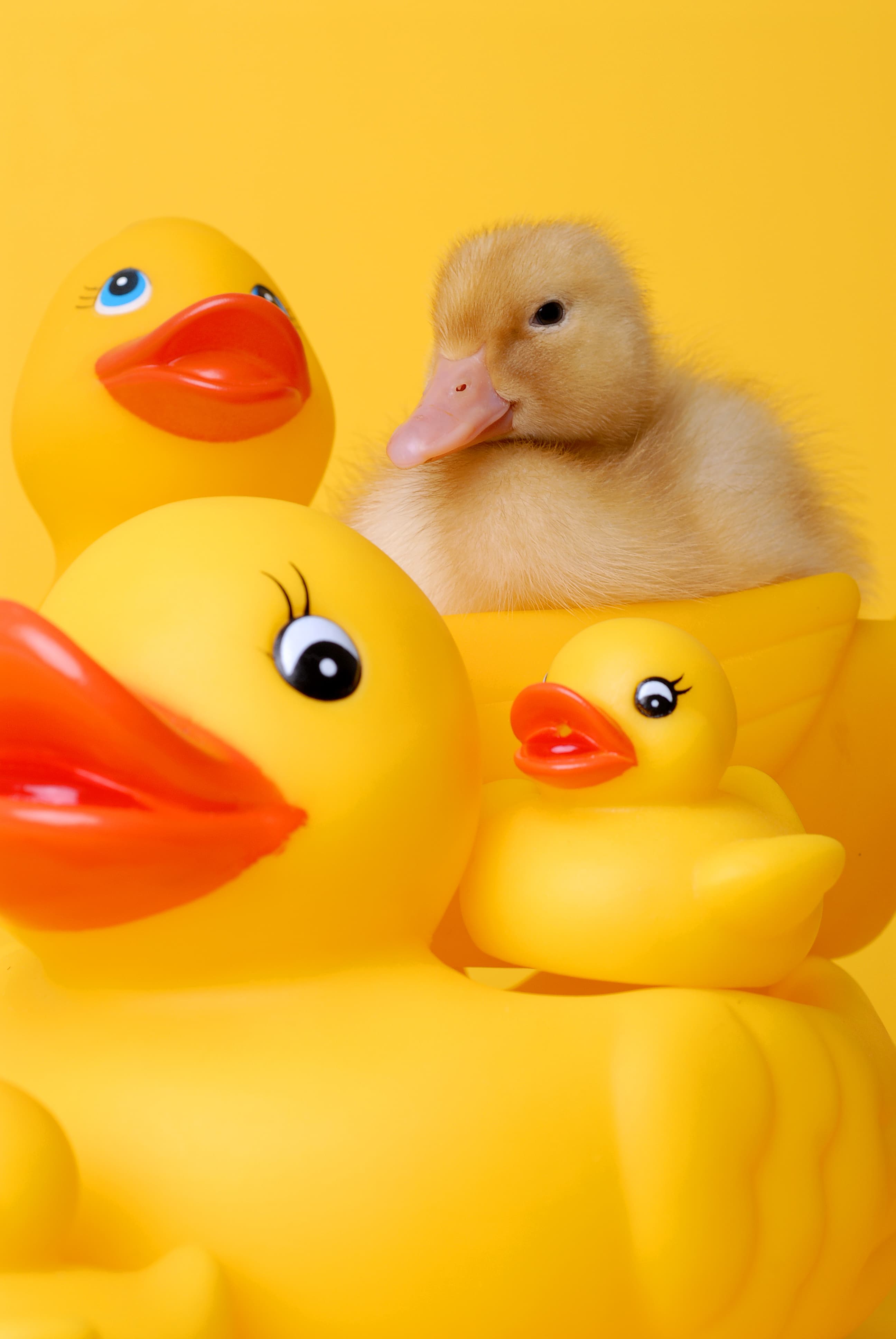 Detachering: Ben jij The Real Deal?